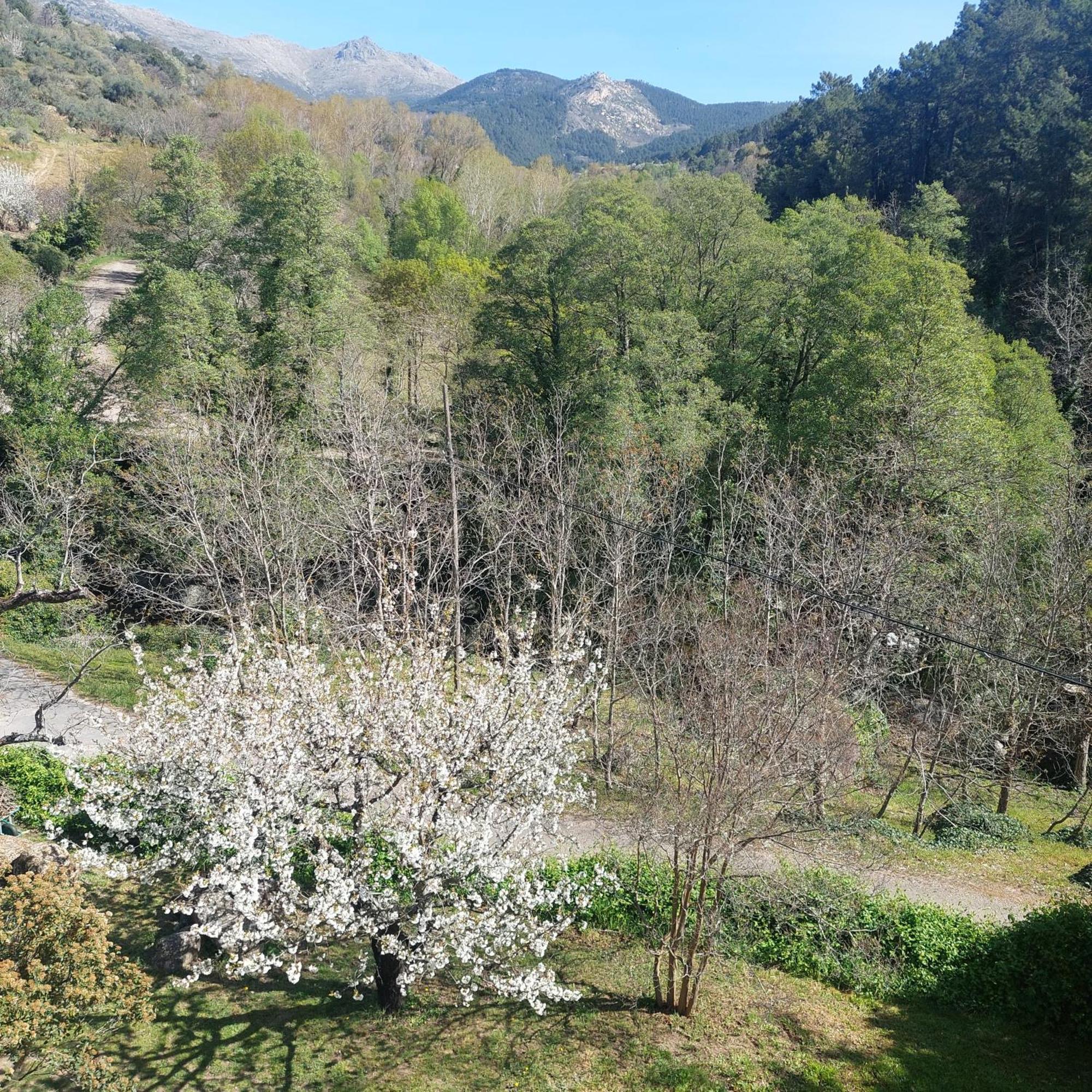 Puente Canto De Gredos Arenas de San Pedro Ngoại thất bức ảnh